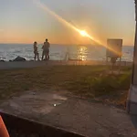 Mano شيوفوك