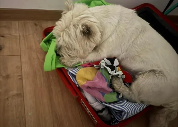 Mano בית נופש שיופוק